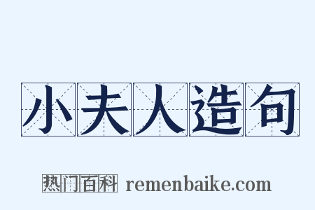 小夫人造句是什么意思的图片